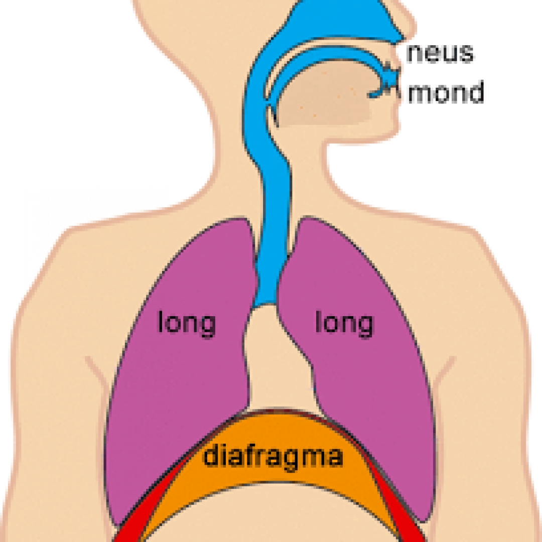 Ini Cara Mencegah Asma Kambuh