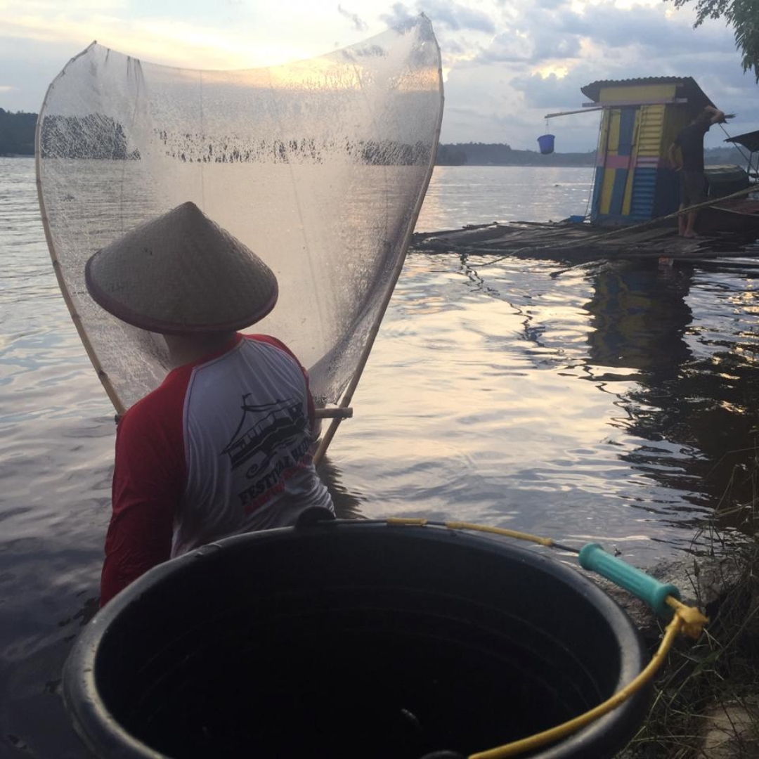 Tradisi Unik Memancing Ikan di Sanggau