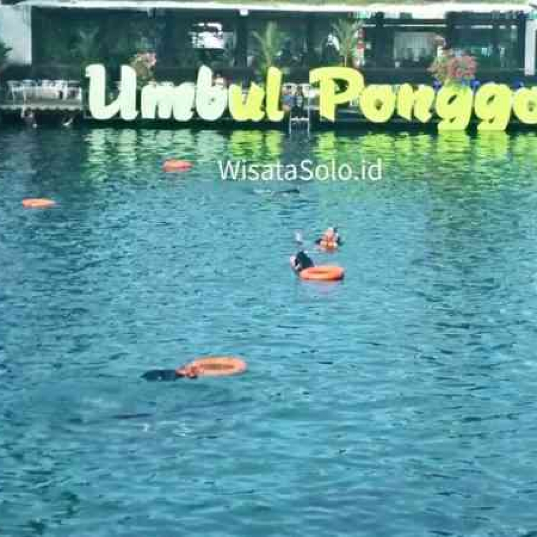 Kolam Renang Unik Ala Umbul Ponggok