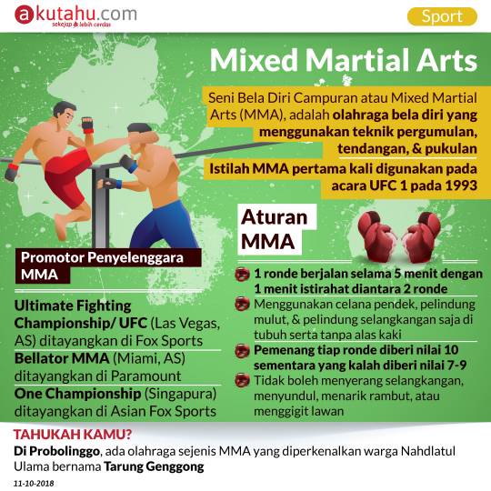 Mixed Martial Arts