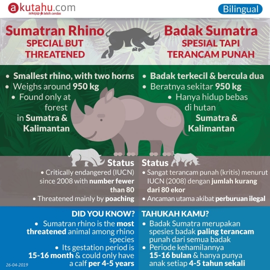 Sumatran Rhino, Unique but Threatened