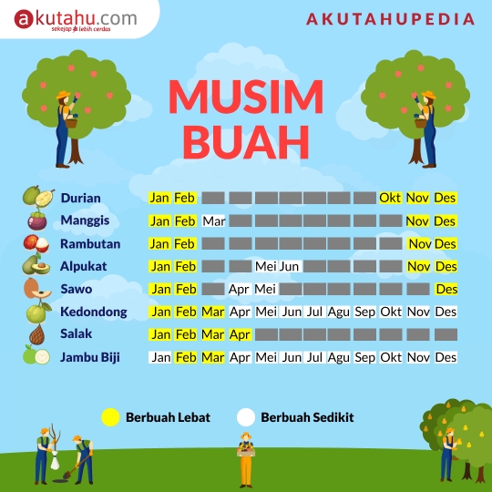 Musim Buah