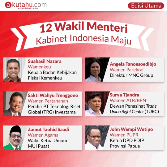12 Wakil Menteri Kabinet Indonesia Maju