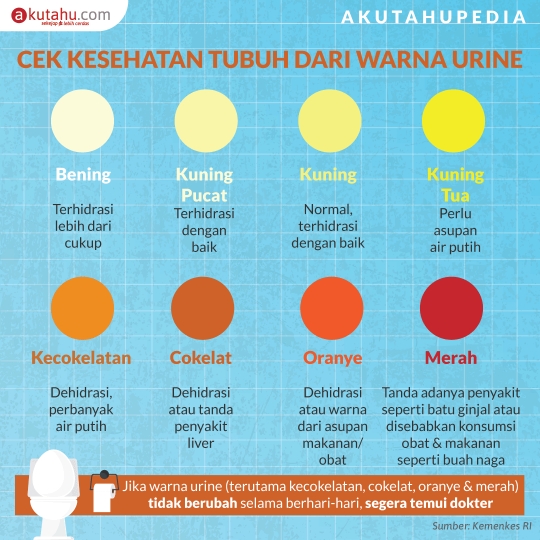 Cek Kesehatan Tubuh dari Warna Urine