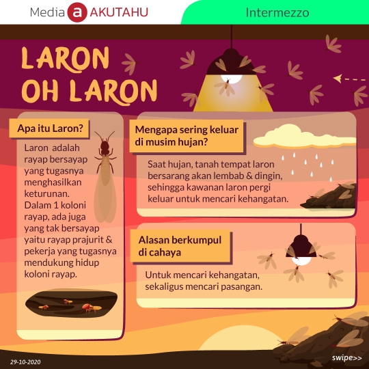 Laron Oh Laron