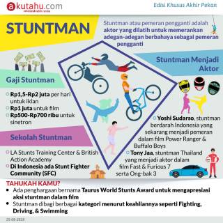 Stuntman