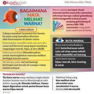 Bagaimana Mata Melihat Warna?