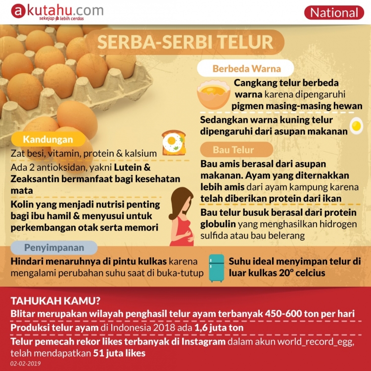 Serba-Serbi Telur