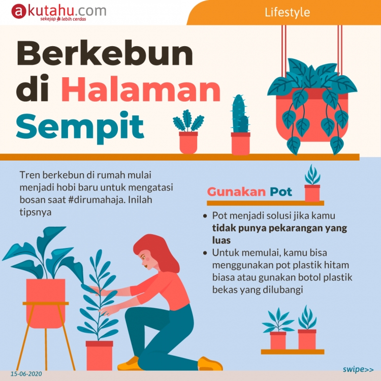 Berkebun di Halaman Sempit
