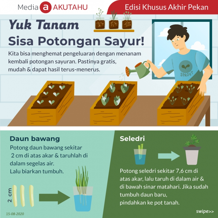 Yuk Tanam Sisa Potongan Sayur