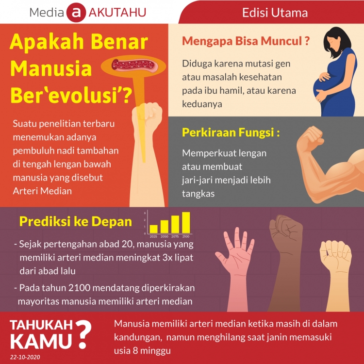 Apakah Benar Manusia Berevolusi?