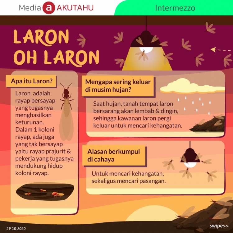  Laron Oh Laron