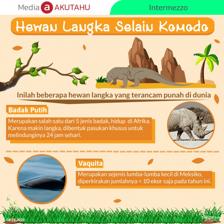Hewan Langka Selain Komodo
