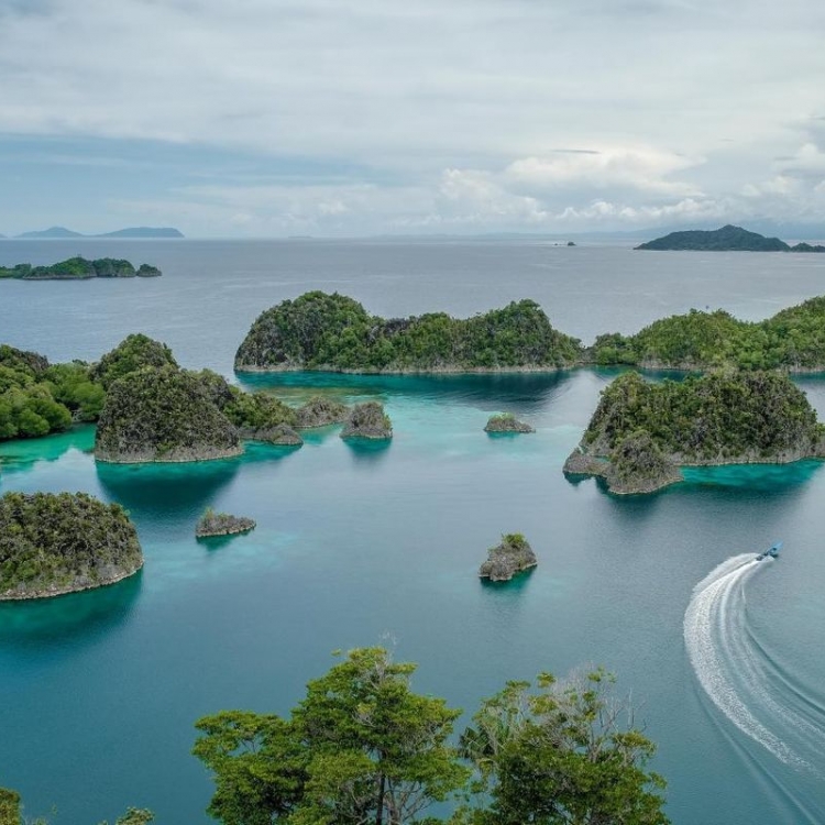 Wisata Raja Ampat, Surga Tersembunyi di Indonesia!