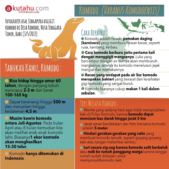Komodo