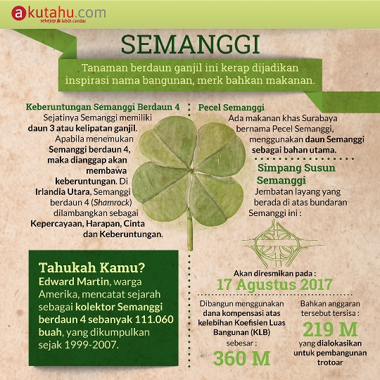 Semanggi