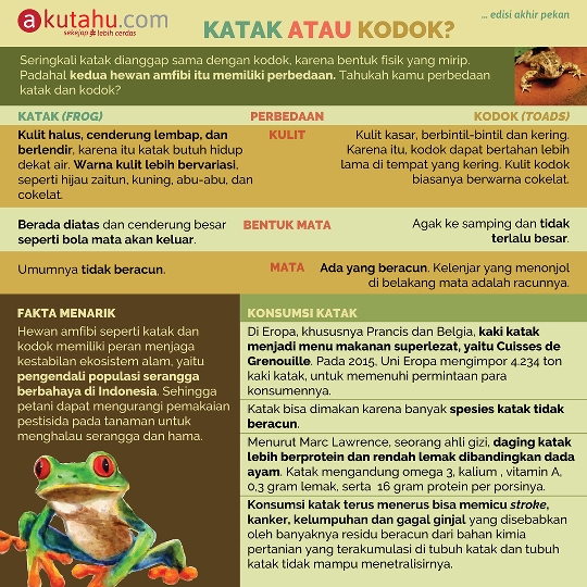 Katak dan Kodok