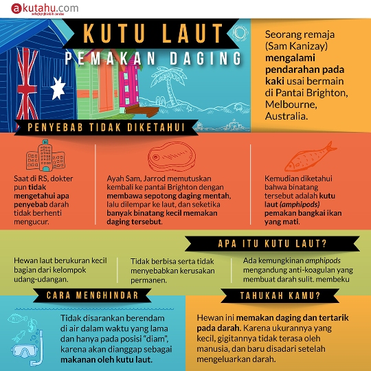 Kutu Laut