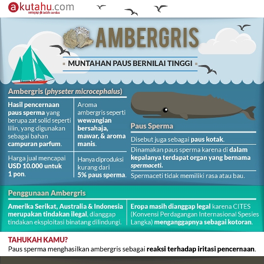 Ambergris