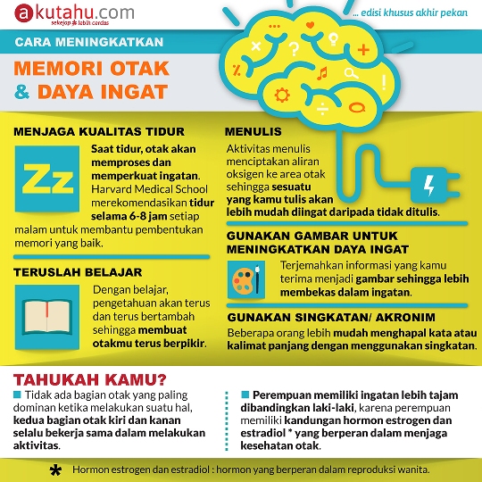 Memori Otak & Daya Ingat