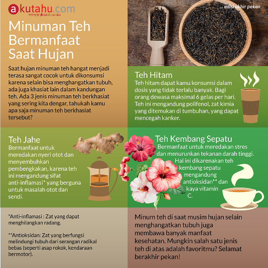Minuman TehBermanfaat Saat Hujan