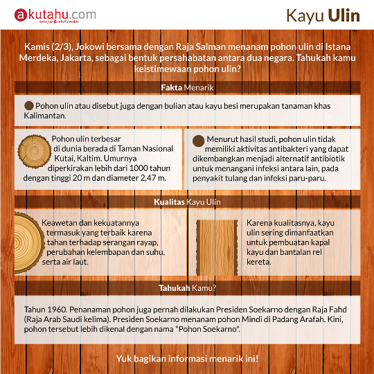 Kayu Ulin