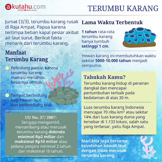 Terumbu Karang