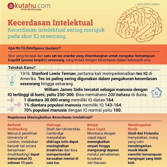Kecerdasan Intelektual