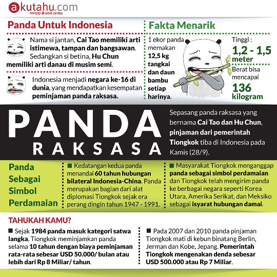 Panda Raksasa