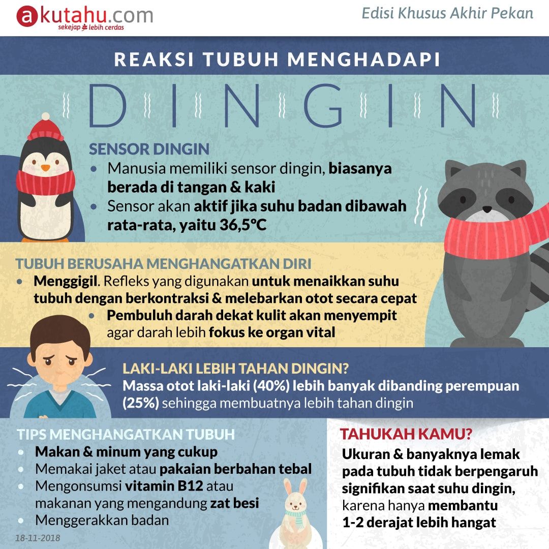 Reaksi Tubuh Menghadapi Dingin