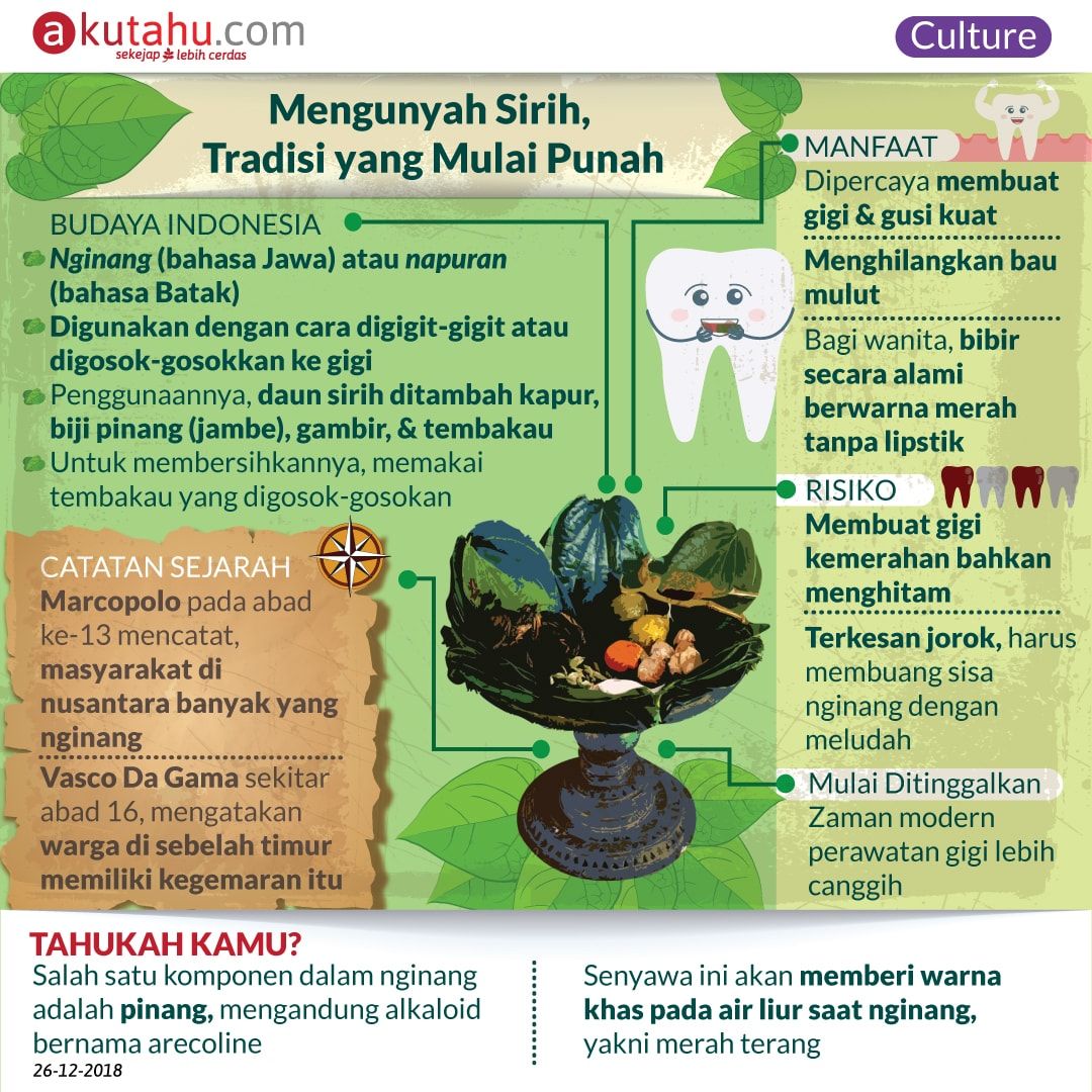Mengunyah Sirih, Tradisi yang Mulai Punah