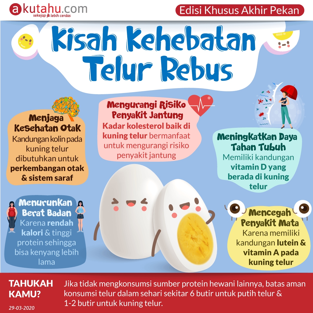 Kisah Kehebatan Telur Rebus