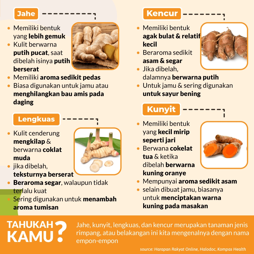 Tips Membedakan Jahe, Kunyit, Lengkuas, & Kencur