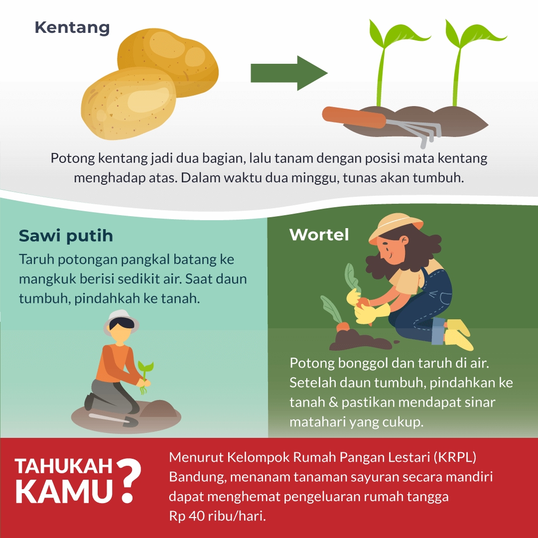Yuk Tanam Sisa Potongan Sayur
