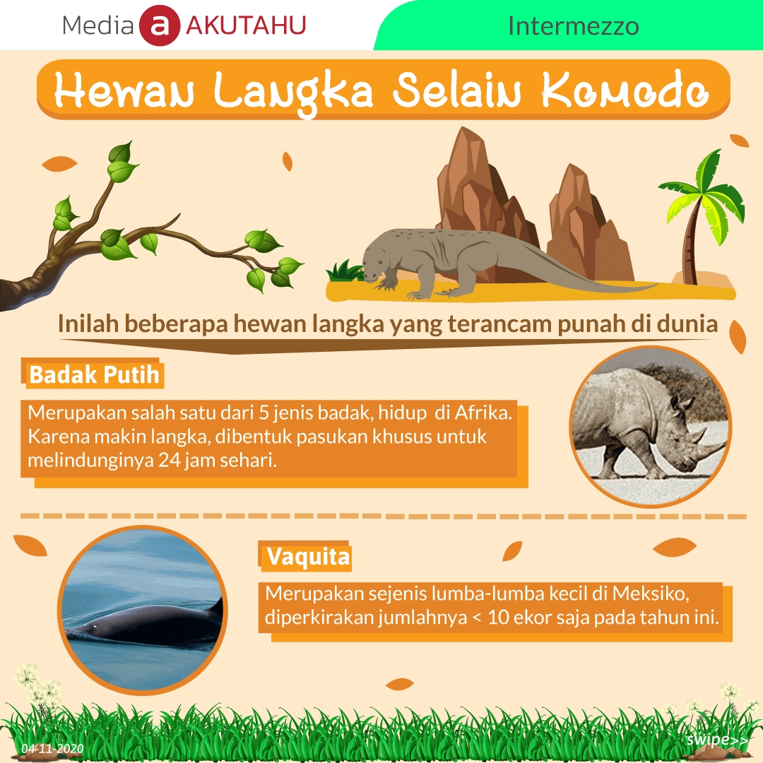 Hewan Langka Selain Komodo