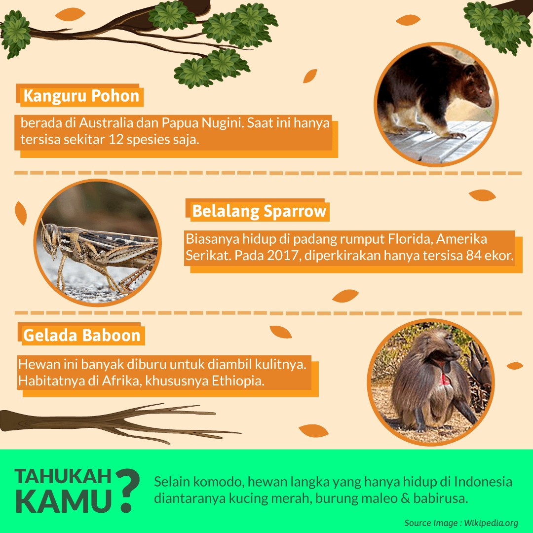 Hewan Langka Selain Komodo