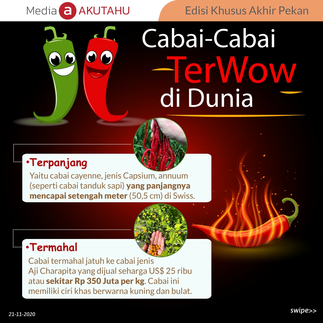 Cabai-Cabai Ter Wow di dunia