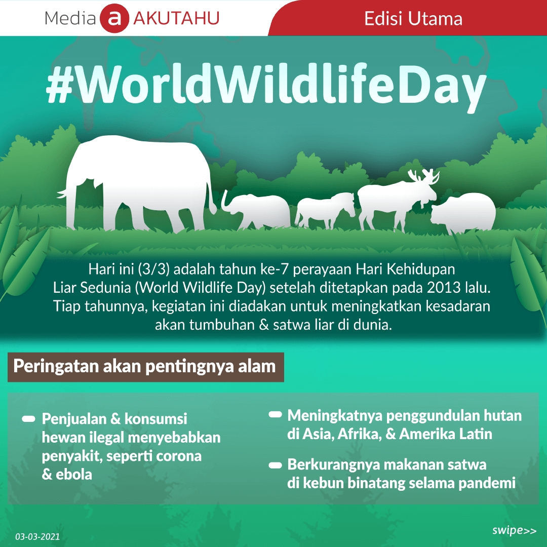 #WorldWildlifeDay