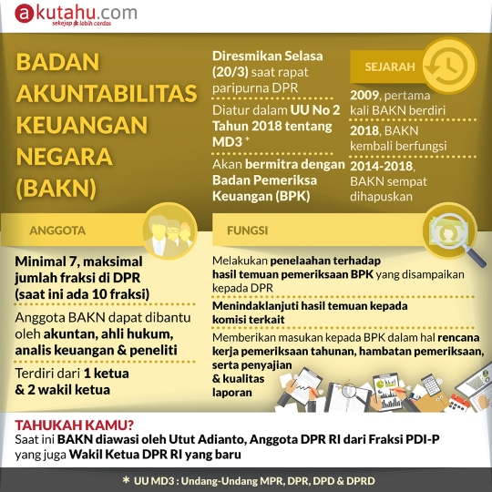 Badan Akuntabilitas Keuangan Negara (BAKN)